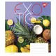 Тетрадь для записей А5 YES Exotic 766128 96 листов