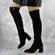 Ботфорты женские Fashion Pooch 2135 40 размер 25,5 см Черный