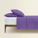 Семейный комплект на резинке LAVENDER CS1