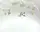 Блюдо Cmielow Rococo White Flower 9705-32 32 см