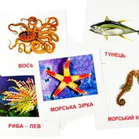 Розвиваючі картки "Морські жителі" (110х110 мм) 72752 на укр./англ. мовою