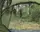Палатка четырехместная Easy Camp Lomsdal 4 (120480)