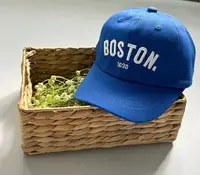 Кепка Boston синя 10435, розмір 54