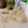 3D модель для сборки Paper Art Кенгуру