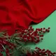 Ткань трикотаж жаккард Арнела красный