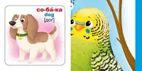 Розумні картки. Домашні тварини. 30 карток, укр