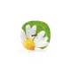 Тарелка подставная Luminarc Paquerette Green G0086 28 см