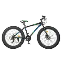 Спортивный велосипед Profi Shimano 26" (EB26POWER 1.0 
S26.5) Черный