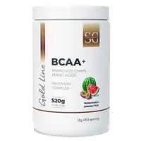 Аминокислота BCAA Sport Generation Gold Premium BCAA+, 520 грамм Арбуз-маракуйя