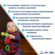 Виброподвеска Ферма "Жучок" МС 110305-03