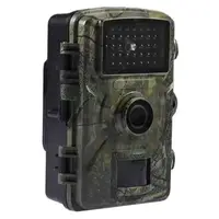 Фотоловушка Suntekcam DL-100 12Мп, 2" дисплей