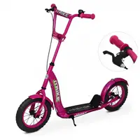Самокат I-Trike SR2-043-1-V1 12 дюймов розовый