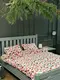 Постельное белье евро Dushka Home Сатин Плюш 21462 200х220 см