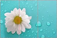 Фотошпалери текстуровані, вінілові Квіти, 250х380 см, fo01inV_fl102364