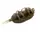 CPFCS-M080 Кормушка Carp Pro Flat Classic Sport M 80.0g
