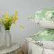 Постельное белье полуторное ТЕП GAISY 2-00881_24544 150х215 см