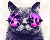 Картина по номерам Brushme "Котик на Маями" GX29637, 40х50 см
