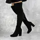 Женские ботфорты на каблуке Fashion Caitlyn 1427 38 размер 24,5 см Черный