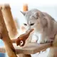 Интерактивная игрушка для кошек летающая птичка воробей для кота птица машет крыльями