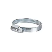 Хомут червячный оцинкованный 9мм D32-50мм 25шт SIGMA (2511101)