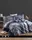 Полуторное Турецкое Постельное Белье First Choice Cotton Kavin Navy Blue Сатин