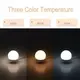 LED лампочки для гримерного зеркала 3 режима VANITY MIRROR LIGHTS 10 шт питание от USB
