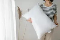 Подушка базовая Comfort антиаллергенная 70х70см