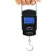 Кантерные электронные весы YZ-603 до 50 кг