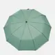 Автоматический зонт Monsen С12013g-green