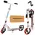 Самокат I-Trike SR2-010-10-W-R красный