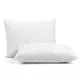 Подушка пух антиаллергенная 50x70 Goose Comfort 2 шт.
