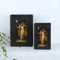 Скринька книга набір з 2-х Плануючі янголи Гранд Презент 22-KSH09132A