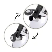 Чайник со свистком и термометром Kamille KM-1077 3 л серый