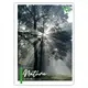 Тетрадь для записей А4 YES Nature 682003 80 листов