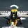 Конструктор LEGO Technic Буш-самолет 333 детали (42198)