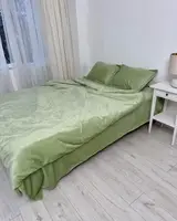 Постільна білизна плюшева євро Dushka Home 20733 200х220 см фісташкова