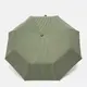 Автоматический зонт Monsen C1Rio4-green