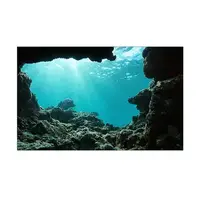 Море для аквариума наклейка с рыбами 45х75 см. (750х450)