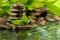 Фотошпалери текстуровані, вінілові Природа, 250х380 см, fo01inV_fl12304
