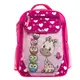 Рюкзак школьный Bagland Отличник 20 л 143 малина 682 0058070