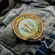 Набор шевронов 2 шт на липучке 36 Отдельная десантно штурмовая бригада ДШВ ВСУ 8,8 см патч нашивка