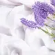 Ткань Бязь хлопок 2,2 GOLD LUX щіл.125 гр/м2 белая