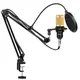 Студийный микрофон Music D.J. M800 со стойкой и ветрозащитой Black/Gold (5006)