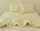 Комплект постельного белья Ivory TAG satin (evro)-493
