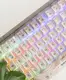 Механическая клавиатура серии ART Xiaomi MIIIW Z830 Max Iridescent (MWMKB04) RU