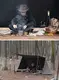 Піч-щепочниця Naturehike Wood stove titanium NH20RJ005