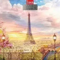 Напольные весы ErsteСh EFS-1802-Paris 180 кг