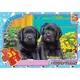 Пазлы G-Toys Домашние любимцы AN145 35 деталей