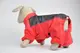Комбинезон 305323 Zoobaza - 21 х 32, красный