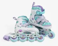 Роликові ковзани Best Roller 02-5 S PU колеса світяться. Multicolor (розмір 23-33) (186982)
